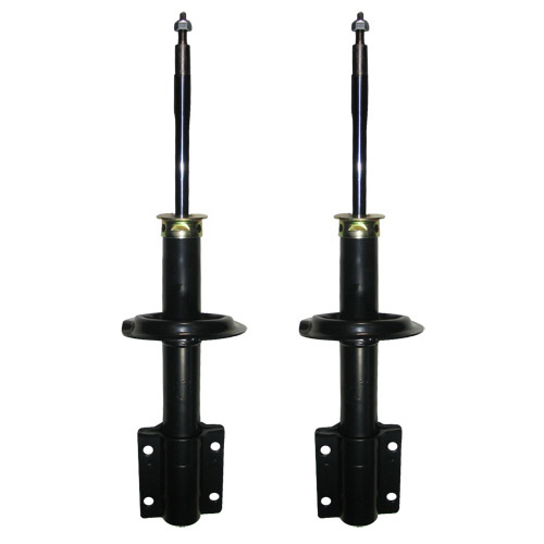 foto de ZF316 032